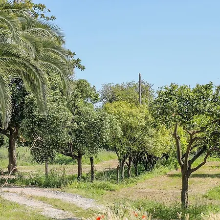 La Corte Natural