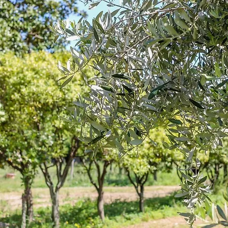 Affittacamere La Corte Natural
