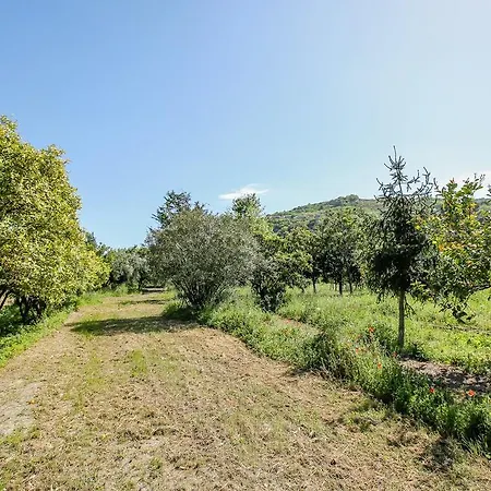 Gasthof La Corte Natural