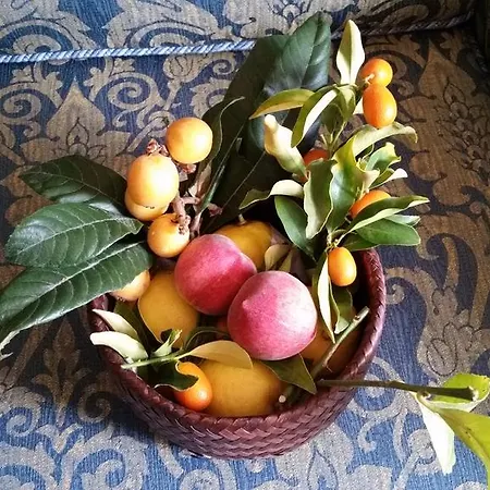 Gasthof La Corte Natural *