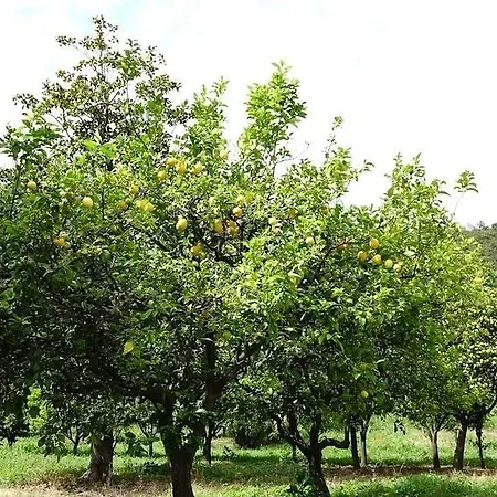 La Corte Natural Gasthof Pietra Ligure